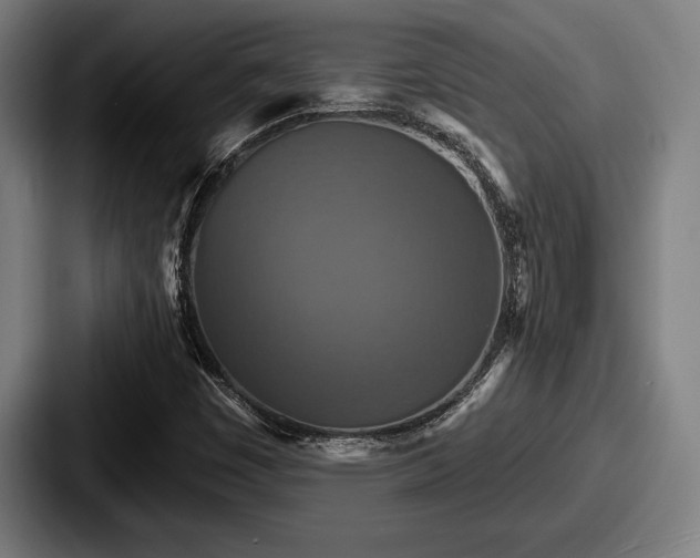 X0000087701449200705111354