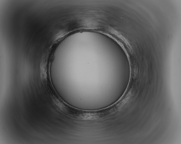 X0000087701451200705111354