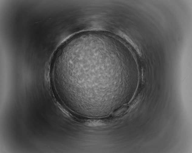 X0000087701452200705111354