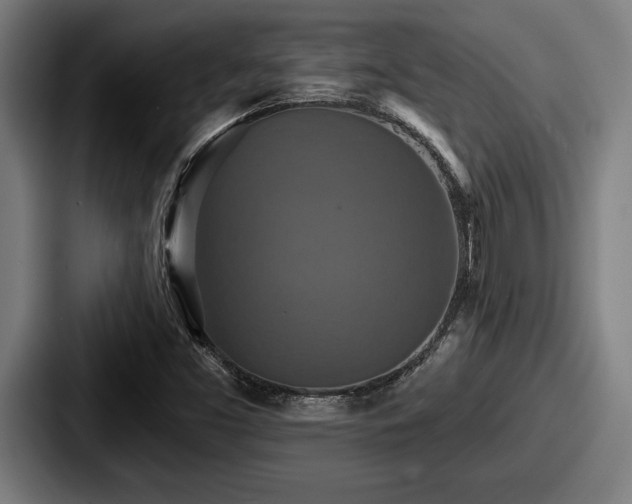 X0000087701453200705111354