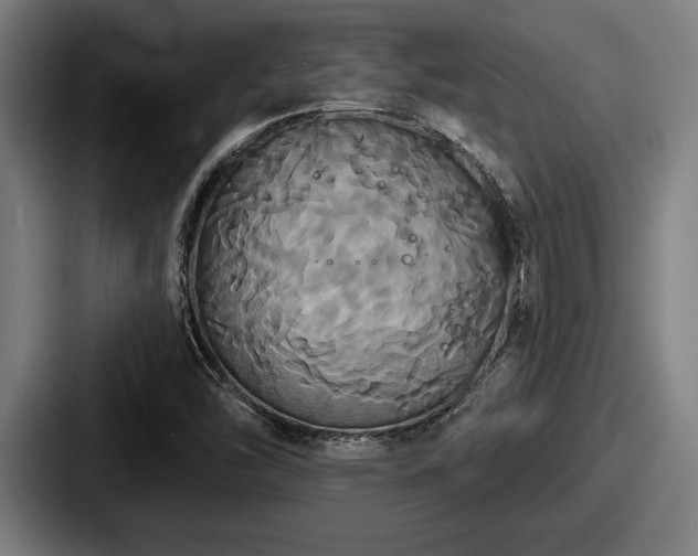 X0000087701454200705111354