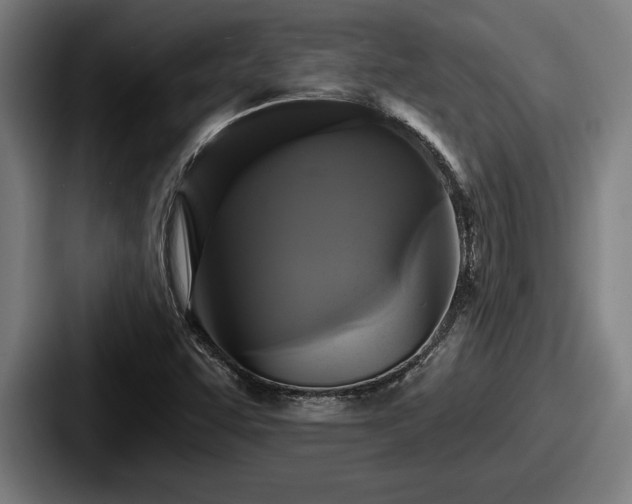 X0000087701455200705111354