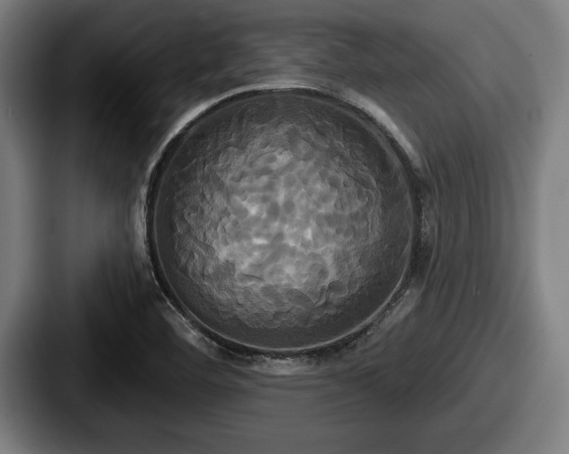 X0000087701460200705111354