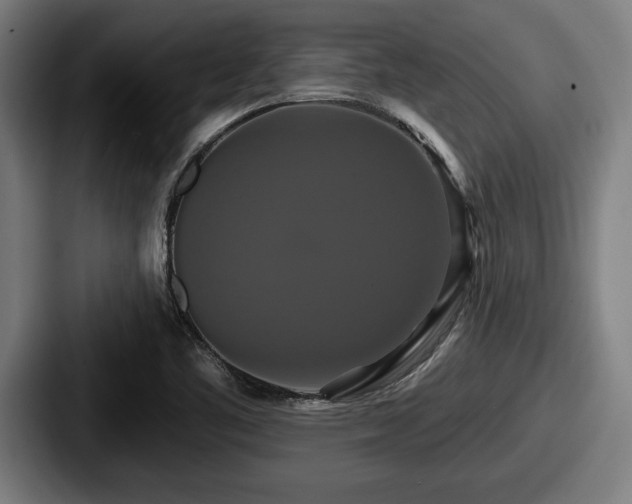 X0000087701461200705111354
