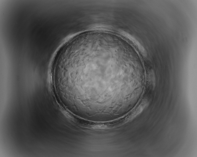 X0000087701462200705111354