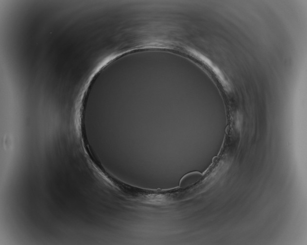 X0000087701463200705111354