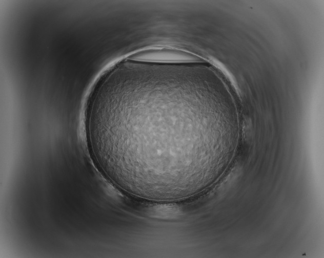X0000087701464200705111354