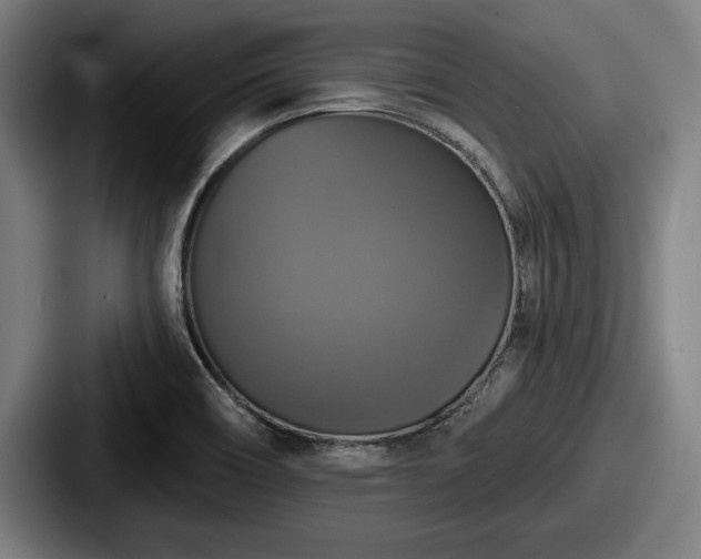 X0000087701466200705111354