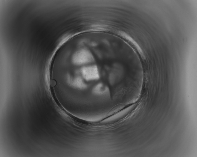 X0000087701467200705111354