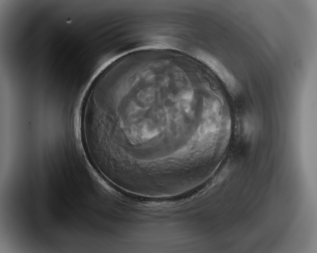 X0000087701468200705111354