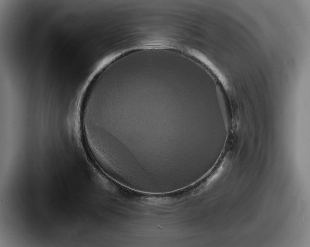 X0000087701469200705111354