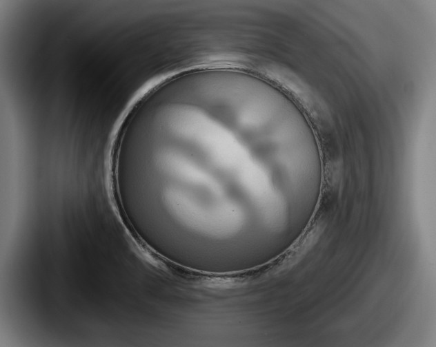 X0000087701470200705111354