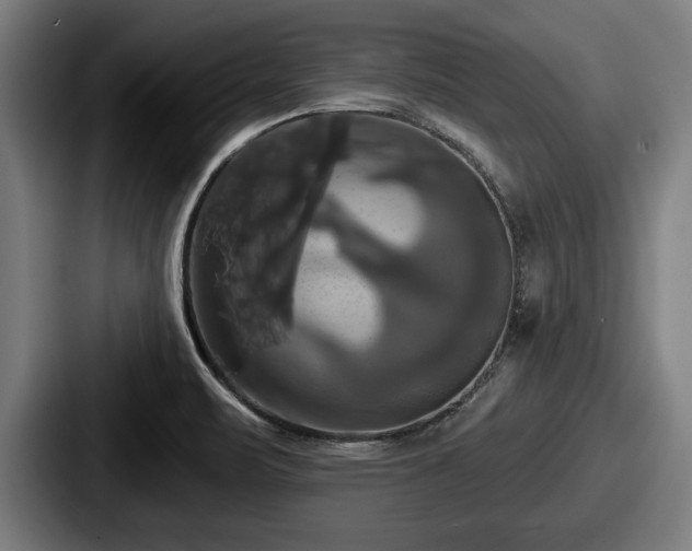 X0000087701471200705111354