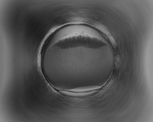 X0000087701472200705111354