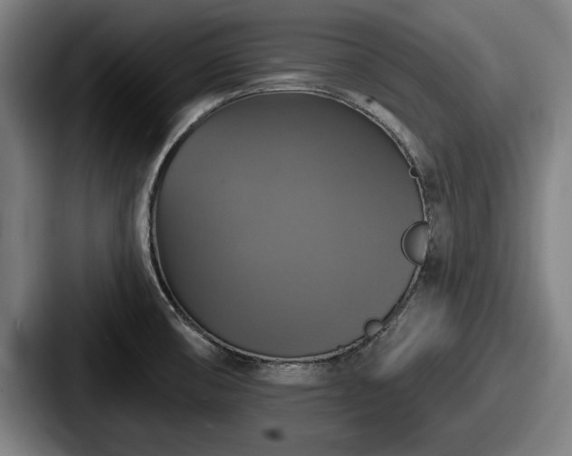 X0000087701474200705111354