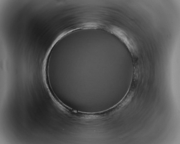 X0000087701475200705111354