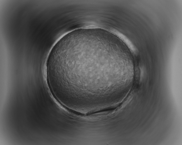 X0000087701476200705111354