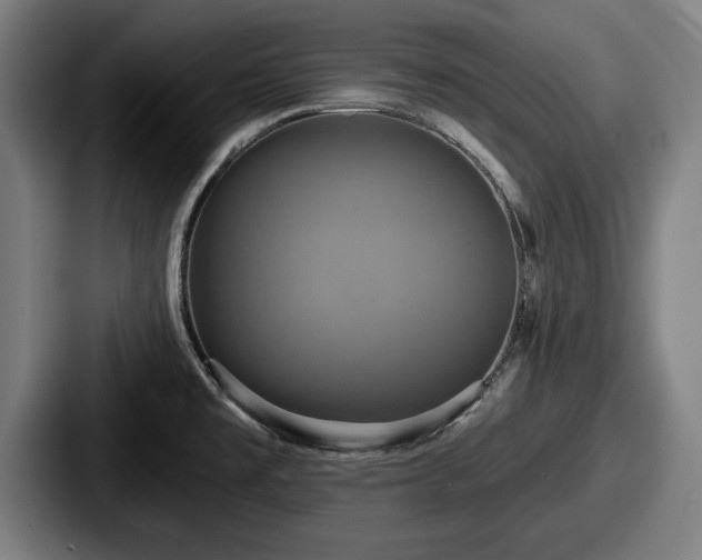 X0000087701477200705111354