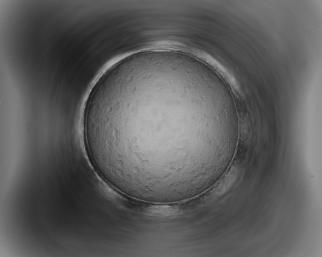 X0000087701478200705111354