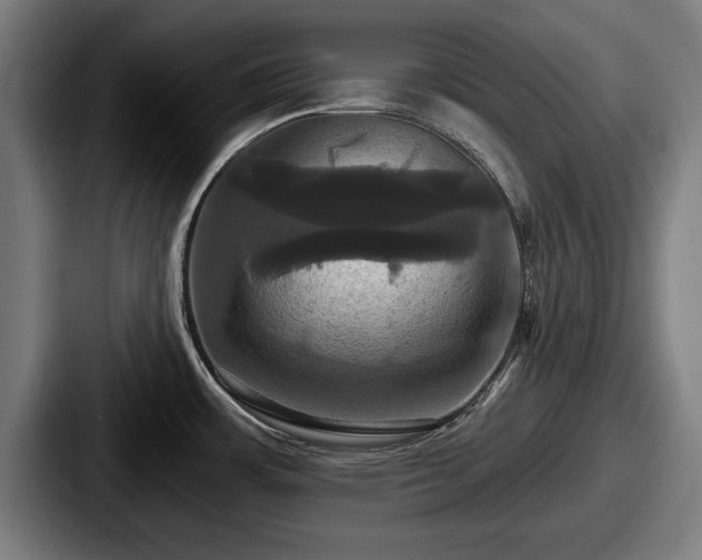 X0000087701483200705111354