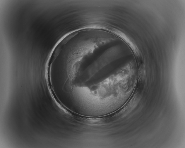 X0000087701484200705111354