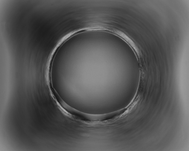 X0000087701485200705111354