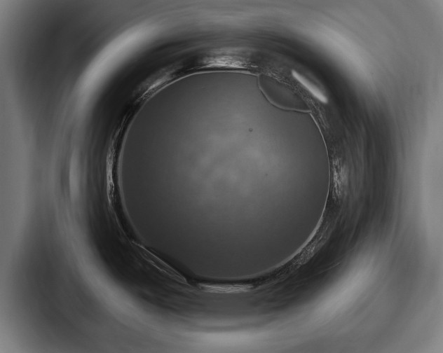 X0000087701487200705111354