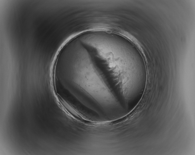 X0000087701488200705111354