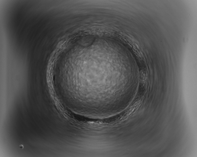 X0000087701489200705111353
