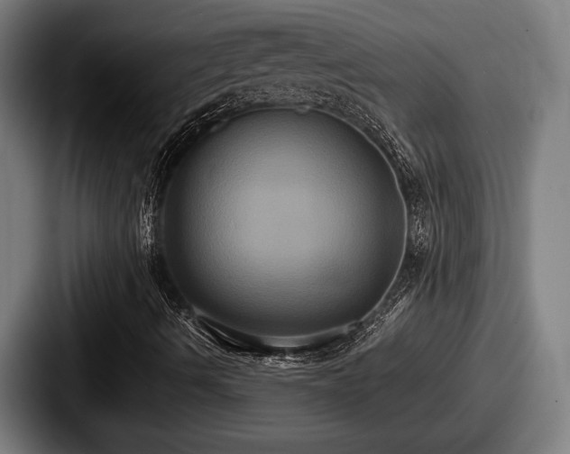 X0000087701490200705111353