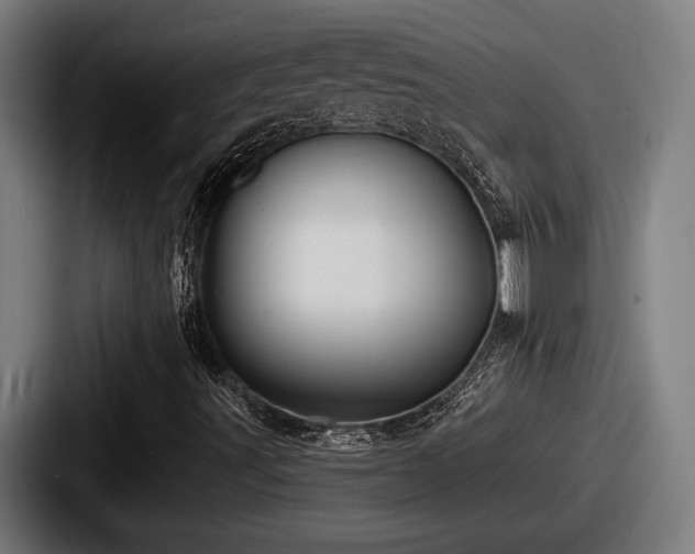 X0000087701491200705111353