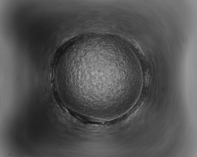 X0000087701494200705111353