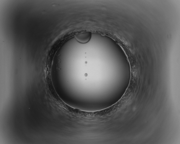 X0000087701495200705111353
