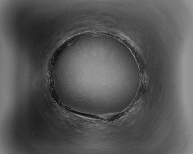 X0000087701496200705111353