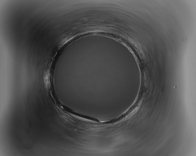 X0000087701497200705111353