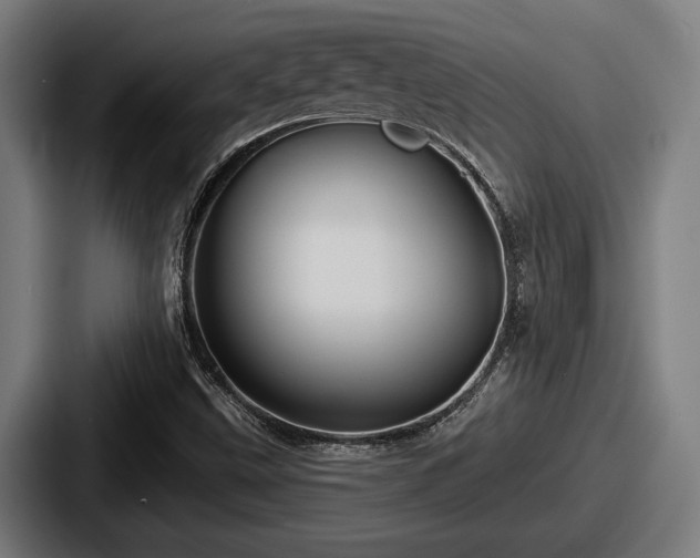 X0000087701499200705111353