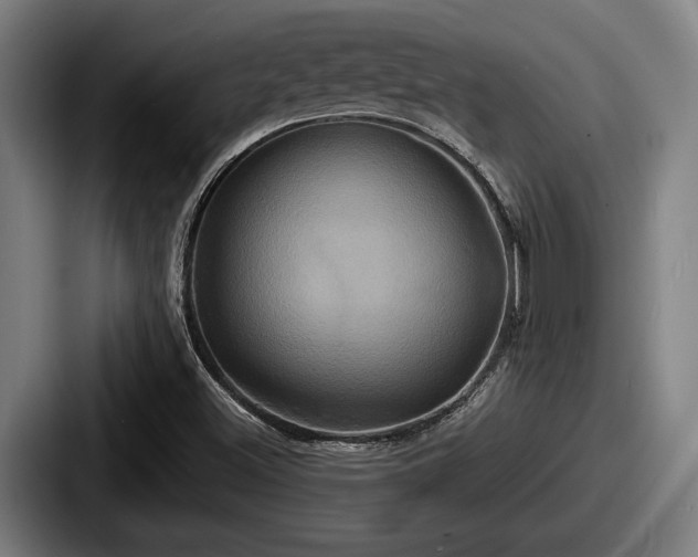 X0000087701500200705111353