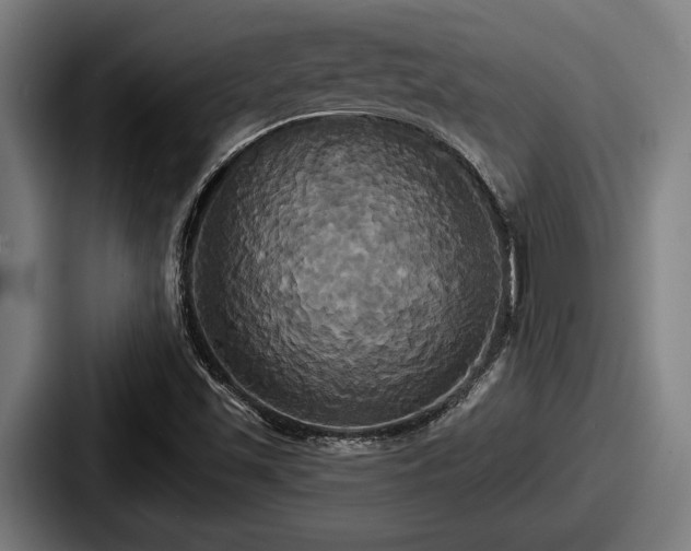 X0000087701501200705111353