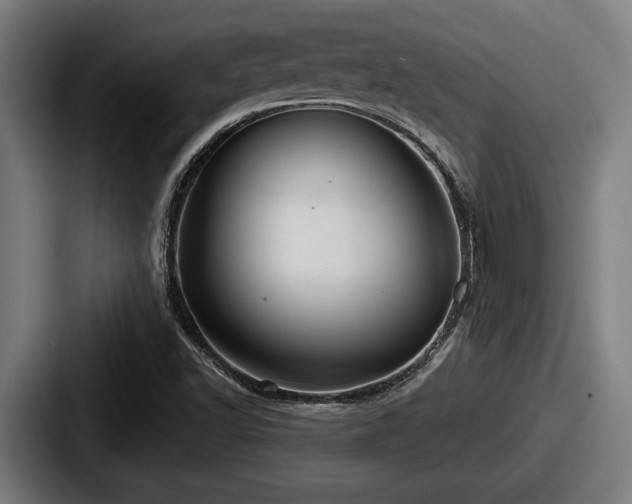 X0000087701502200705111353