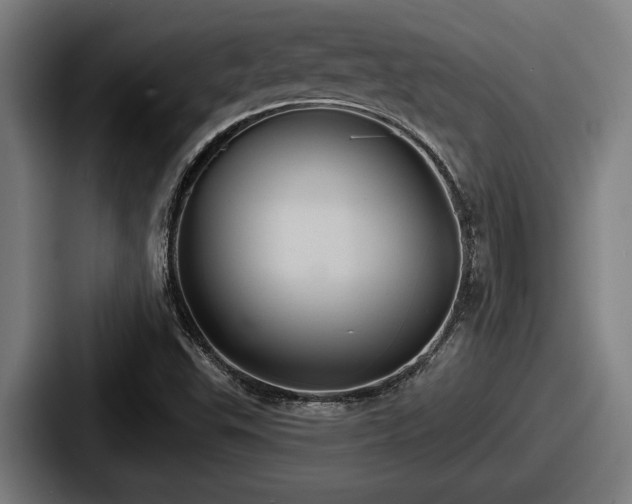 X0000087701503200705111353