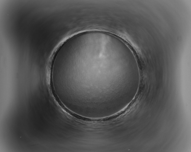 X0000087701504200705111353