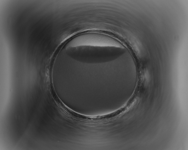 X0000087701505200705111353