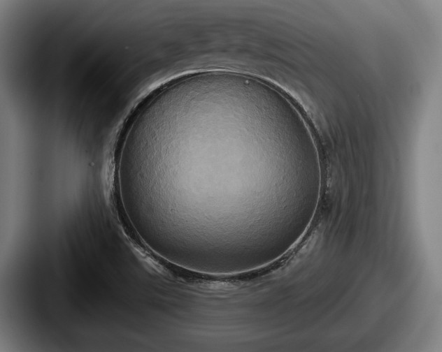 X0000087701507200705111353