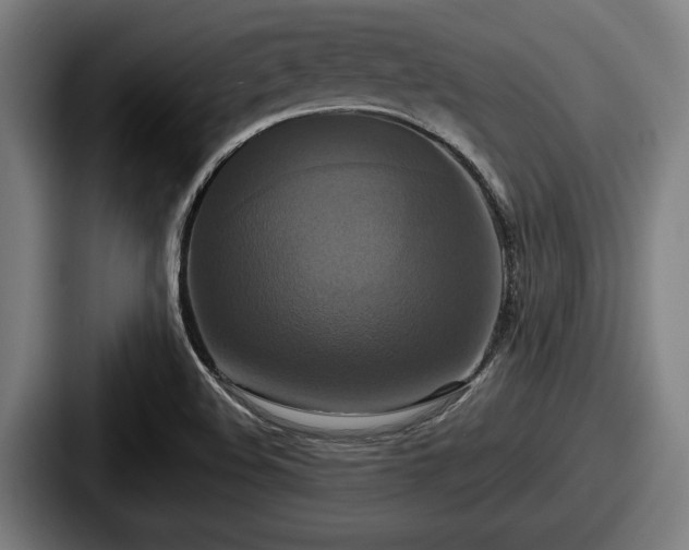 X0000087701508200705111353