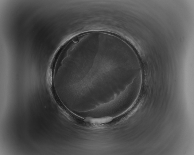 X0000087701509200705111353