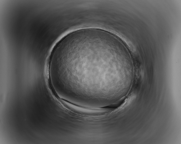 X0000087701510200705111353