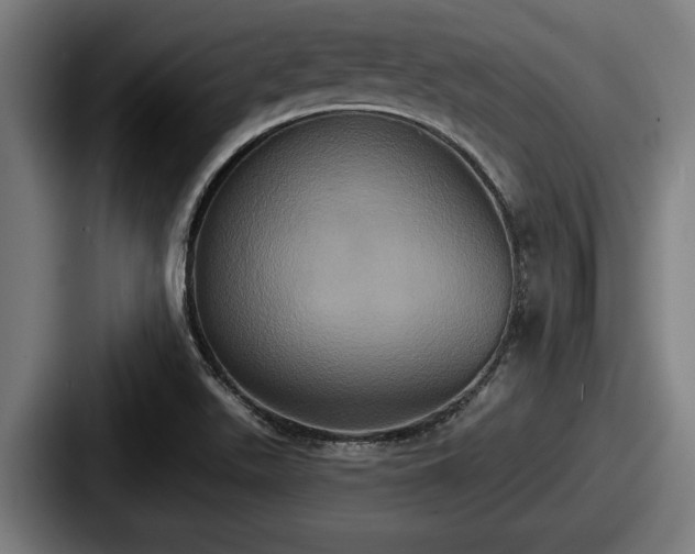 X0000087701511200705111353