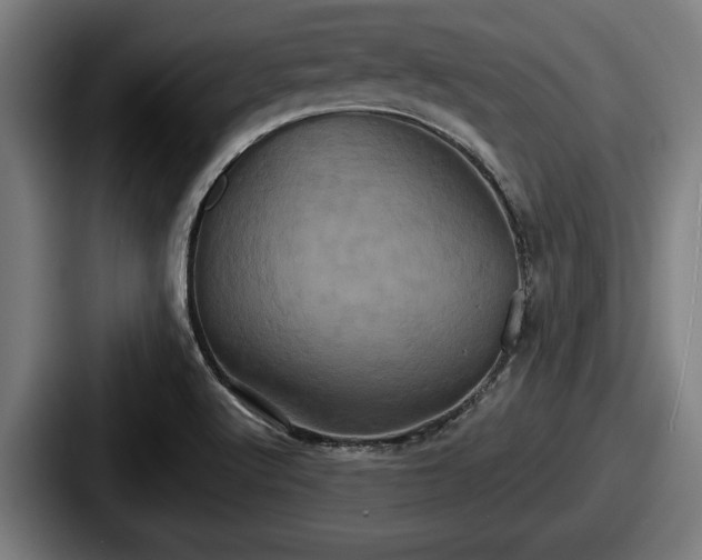 X0000087701512200705111353