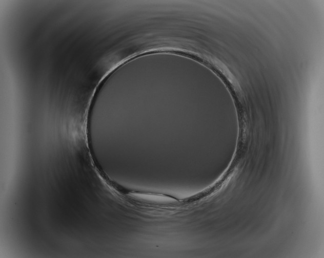 X0000087701513200705111353