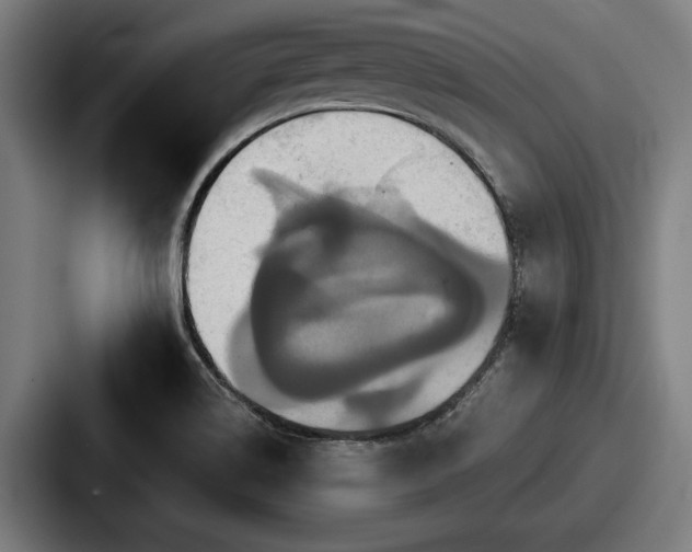 X0000087701514200705111353